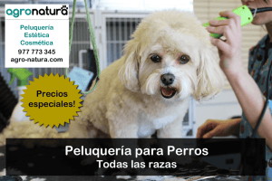 Peluquería para perros