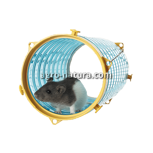 Túnel para ratas y hurones