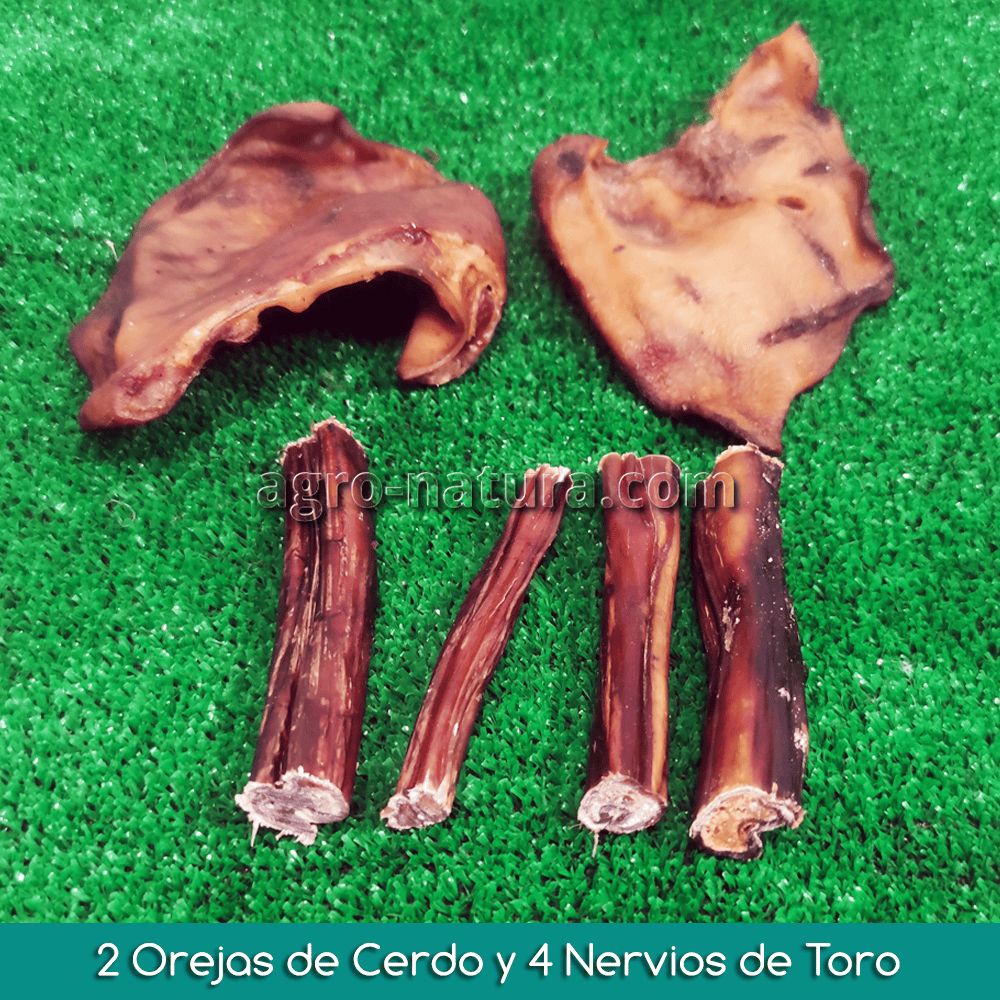 Snacks para perros