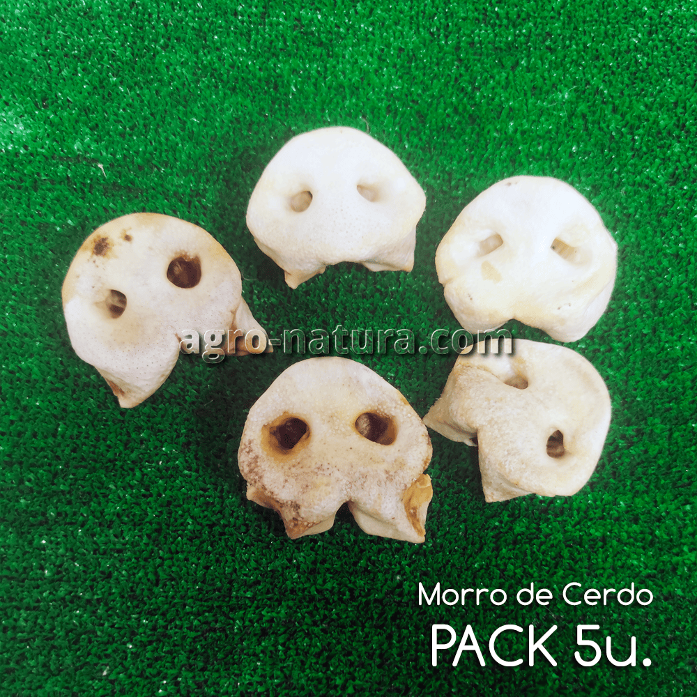 Morros de cerdo deshidratados