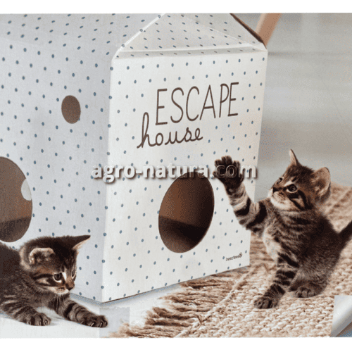 Casa de cartón para gatos 
