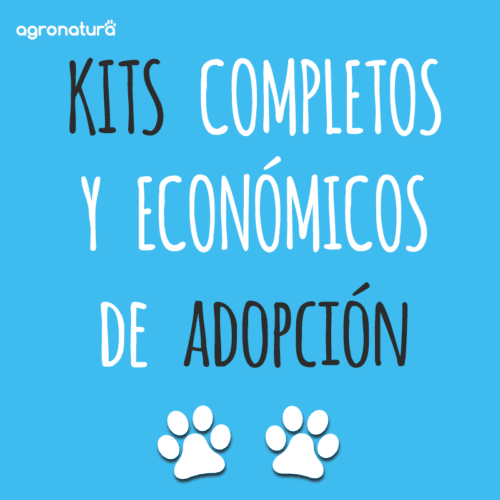 KIT Adopción Fácil