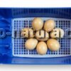 incubadora-automatica-lumia-8-3_agronatura