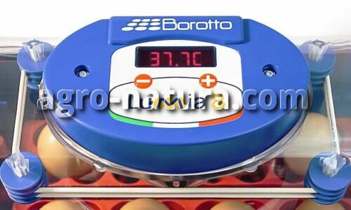 incubadora-automatica-lumia-8-4_agronatura