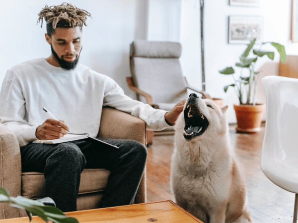 ¿Por qué mi perro me sigue por todas partes cuando estamos en casa?