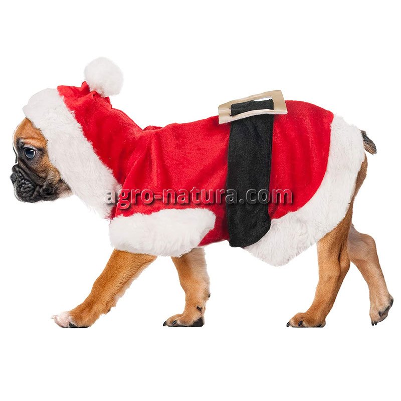 Prosperar editorial Plano Disfraz de Papá Noel para perros K&F - Agronatura tienda online para  animales