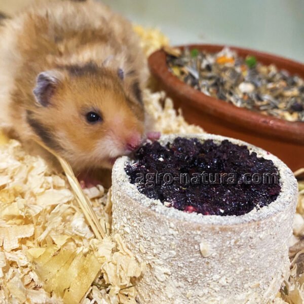 Snack Natural para roedores