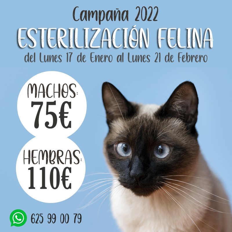 colina Honorable astronomía Campaña Esterilización Felina - Mejores precios - Agronatura tienda online  para animales