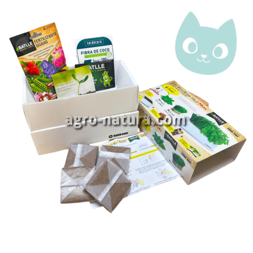 Kit de cultivo de hierbas para gato batlle