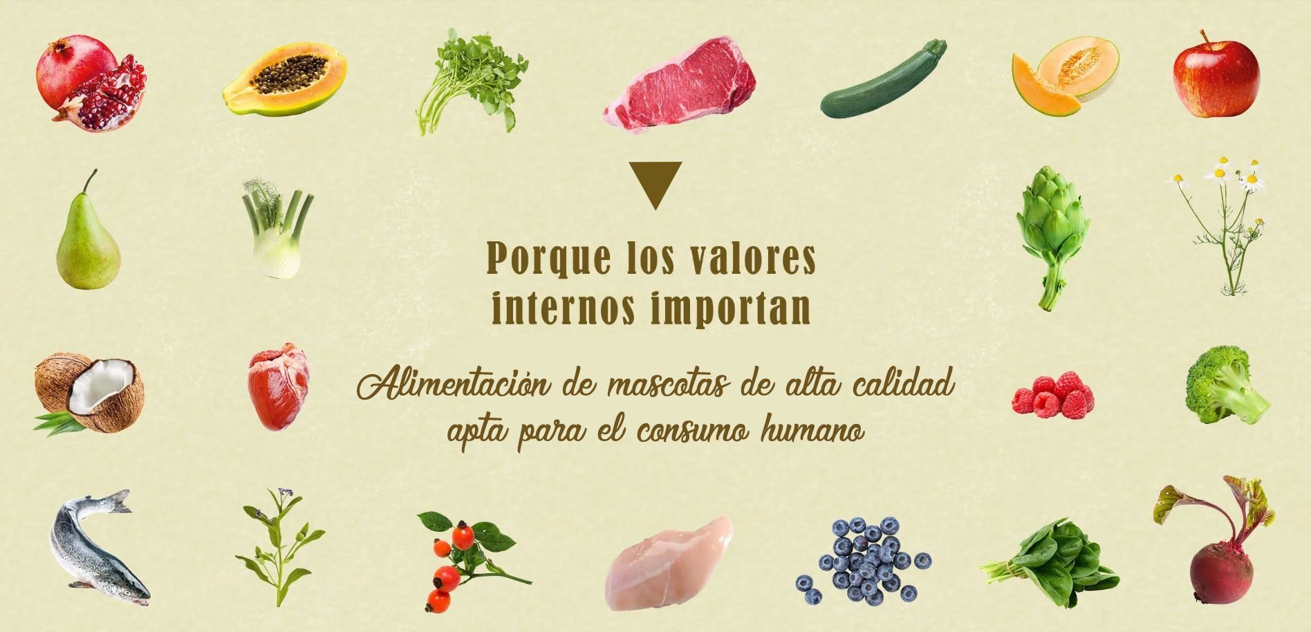 Alimento de alta calidad apto para el consumo humano Alimento de alta calidad apto para el consumo humano